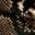 Francoise Boot Dark Brown Snake Print view