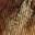 Uma Platform Sandal Tan Multicolor view