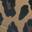 Classic Mary Jane Flat - Women's Sand Leopard Print view