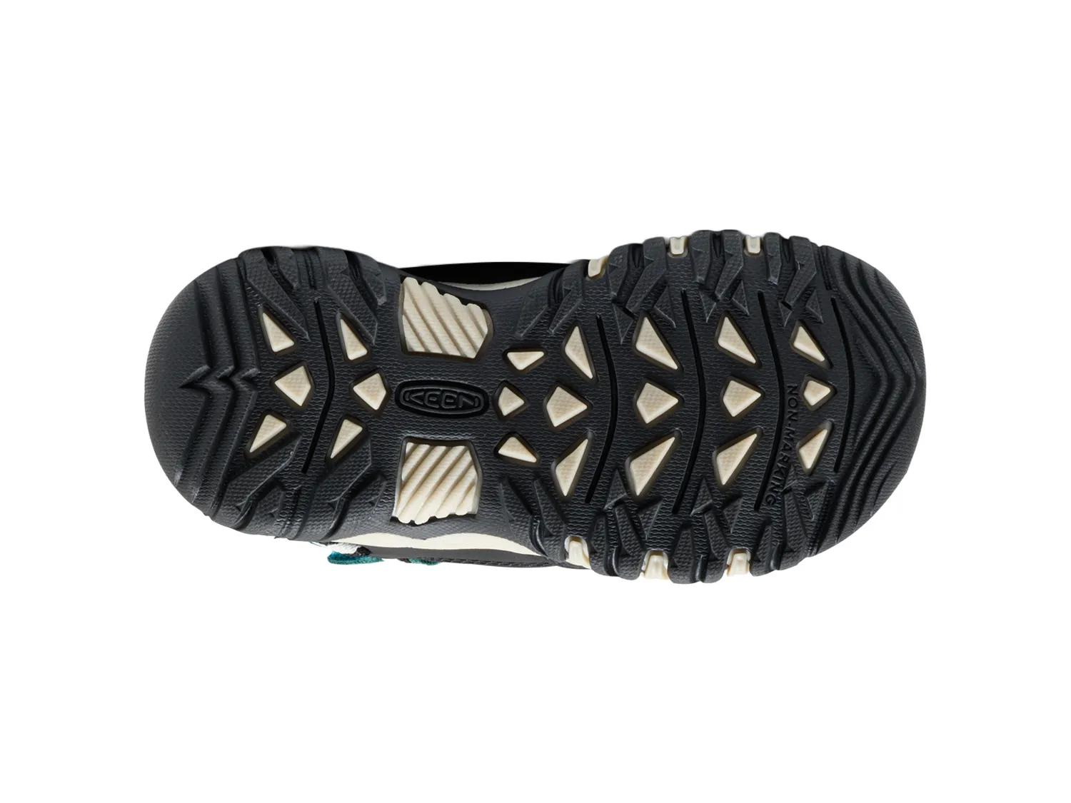 Targhee IV Waterproof Hiking Boot