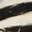 Tazara Sandal Multicolor Zebra Print view