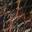 Della Sandal Brown Snake Print view