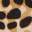 Cara Loafer - Women's Brown Leopard Print view