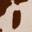 Ziva Mule Cow Print view