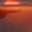 Square Bridge Sunglasses Brown Tortoise Shell view