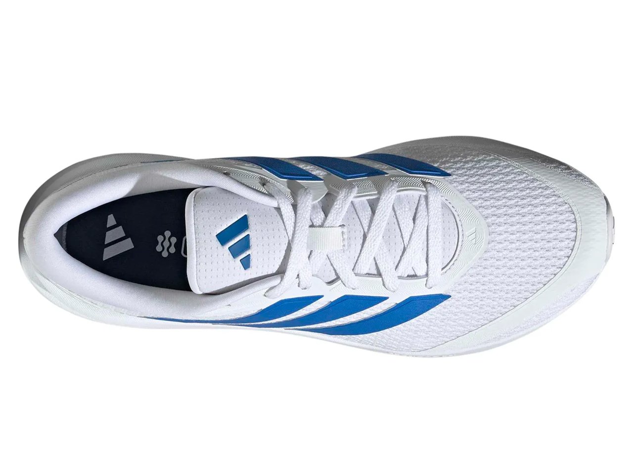 Runfalcon 6 Running Shoe - Women's