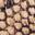 Anabel Pump Tan/Black Snake Print view