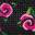 So Clutch Multicolor Floral Print view
