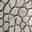 Hayek Bootie Silver Croc Print view