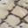 Novalya Sandal Black Snake Print view