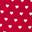 Champion Canvas Print Lace-Up Red view