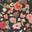 Champion Ditsy Rose Canvas Lace-Up ROSE/MULTI view