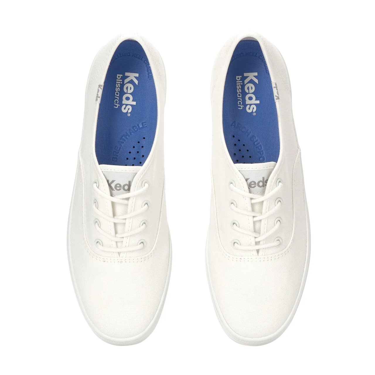 Champion Canvas Water Repellent Lace-Up