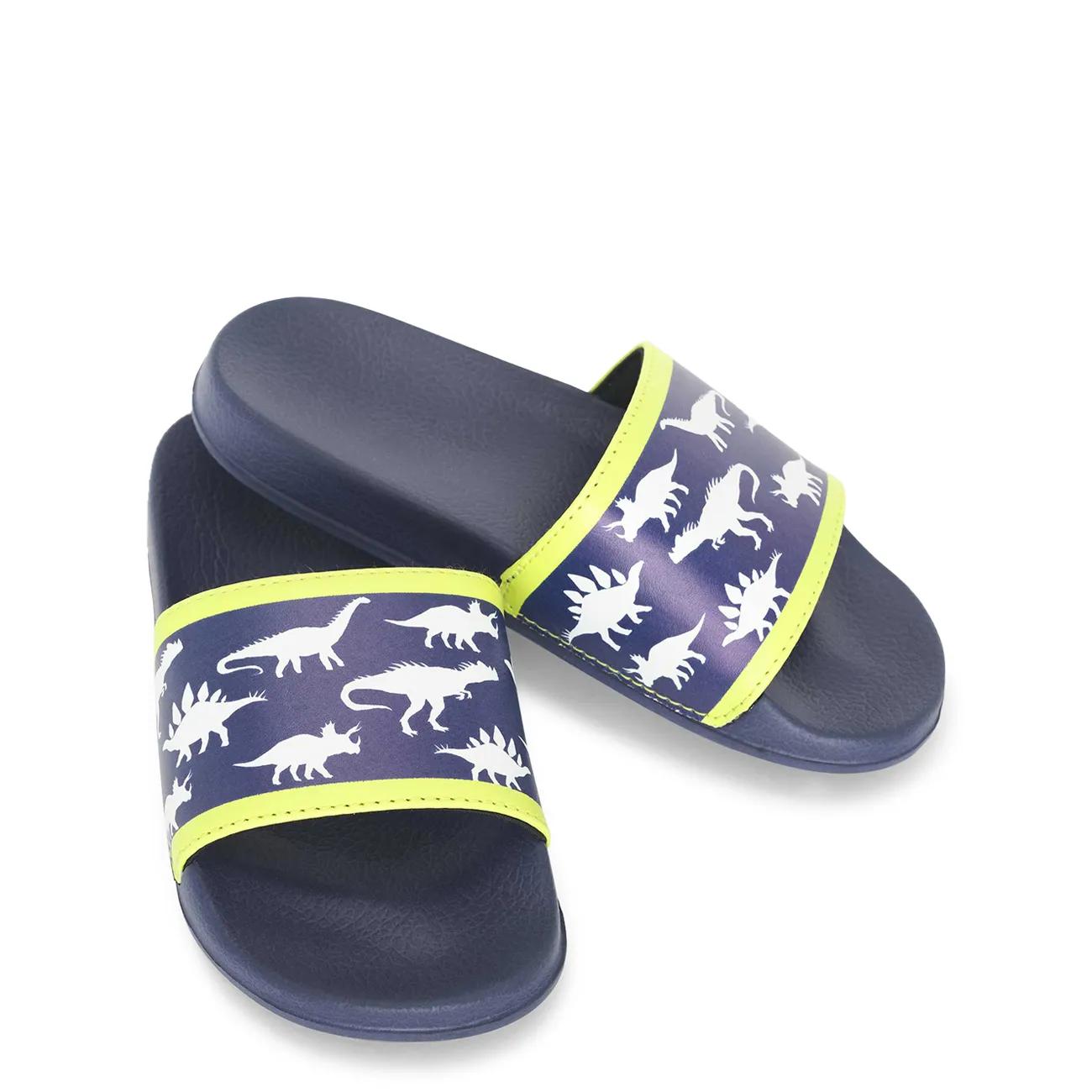 Boy's Dino Slide
