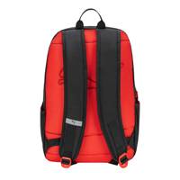 Youth Boy's Rally Backpack RED/BLACK view