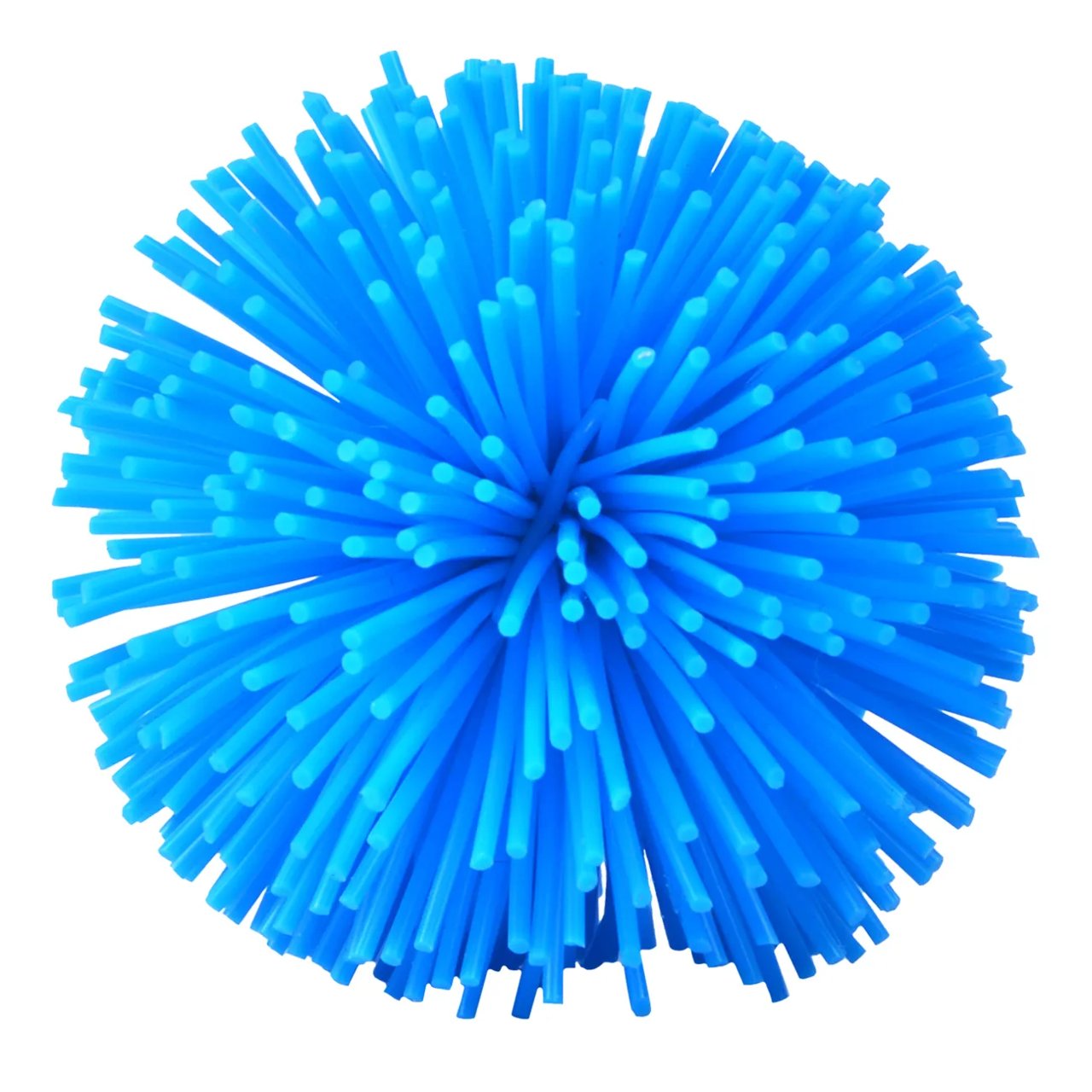World's Smallest Koosh 