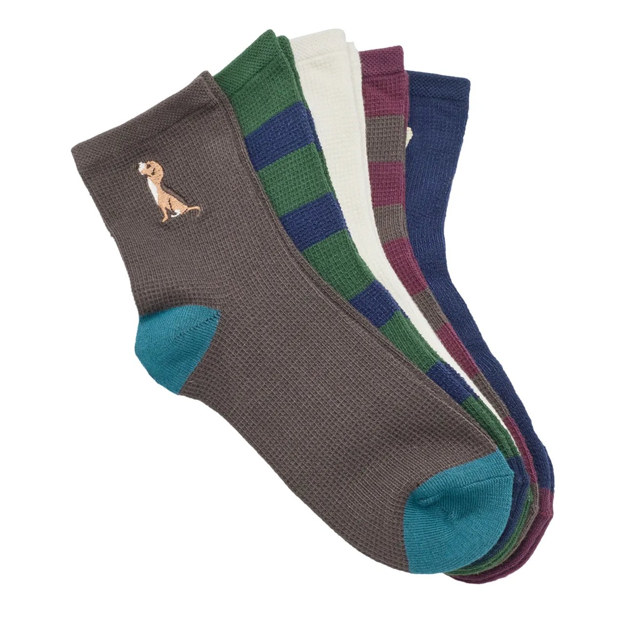 Women's Good Dogs Ankle 5-Pack Socks