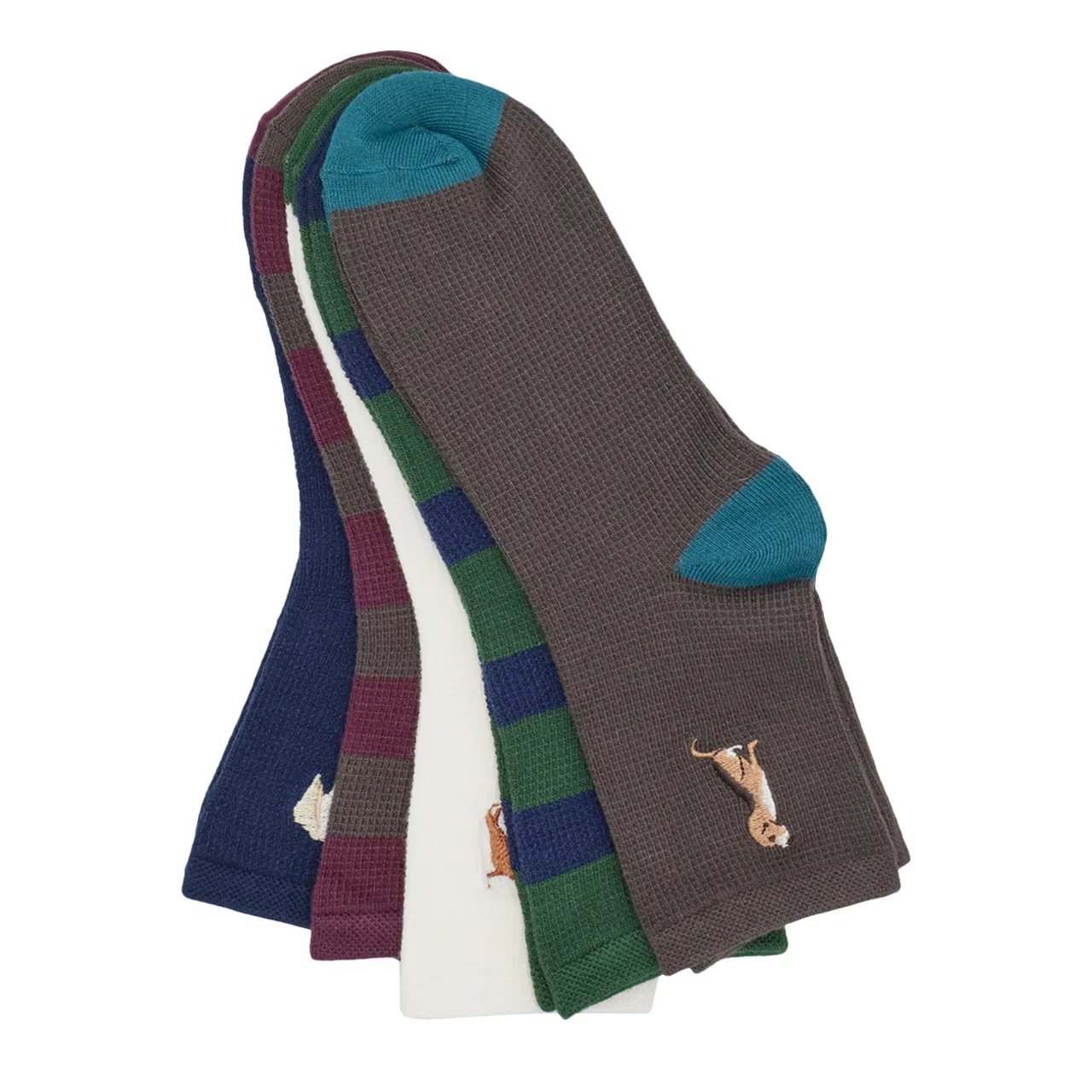 Women's Good Dogs Ankle 5-Pack Socks