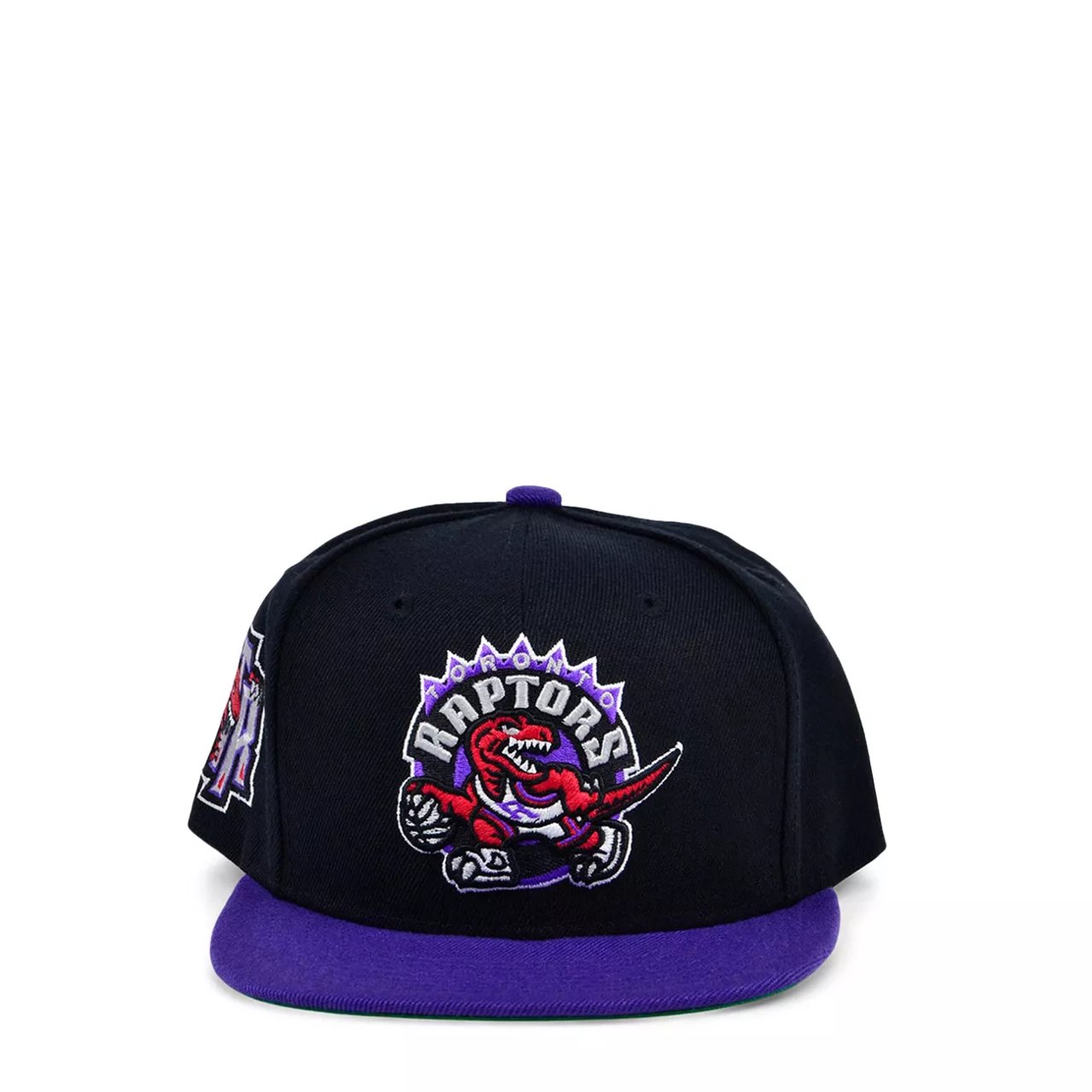 Toronto Raptors NBA Youth Basic Snapback Cap