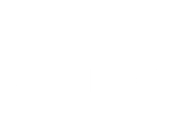 Birkenstock logo