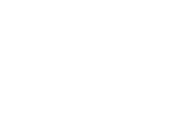 Birkenstock logo