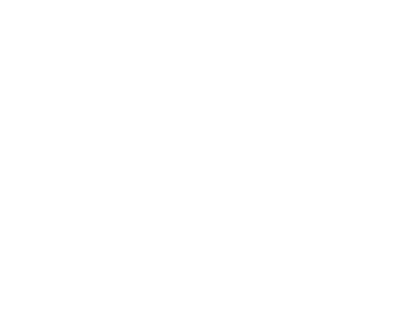Hey Dude Logo
