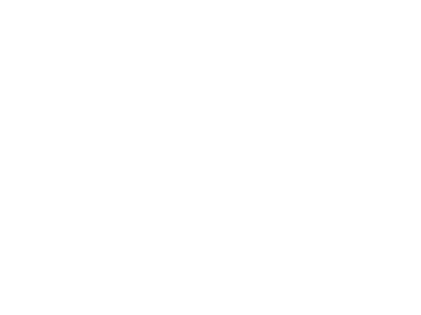 adidas logo