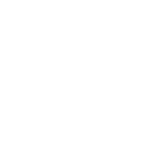 DSW Foundation