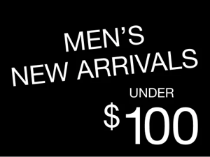 Men's New & Under $100
