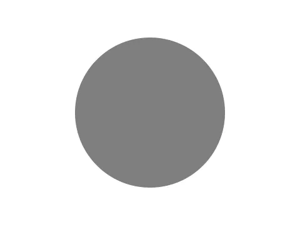 gray color swatch
