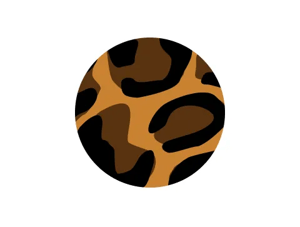 Click to shop animal print shoes.