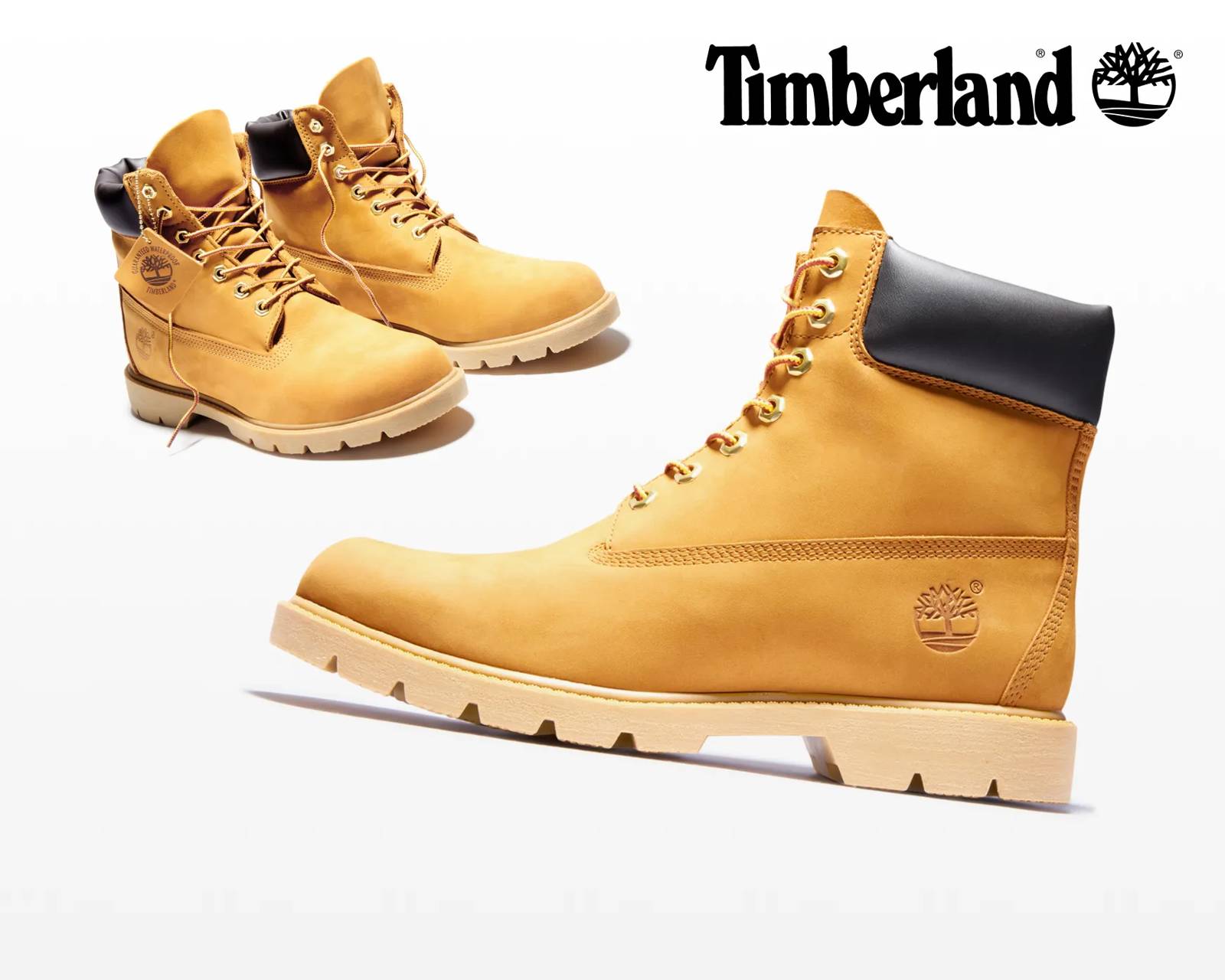 Shop men's timberland at dsw