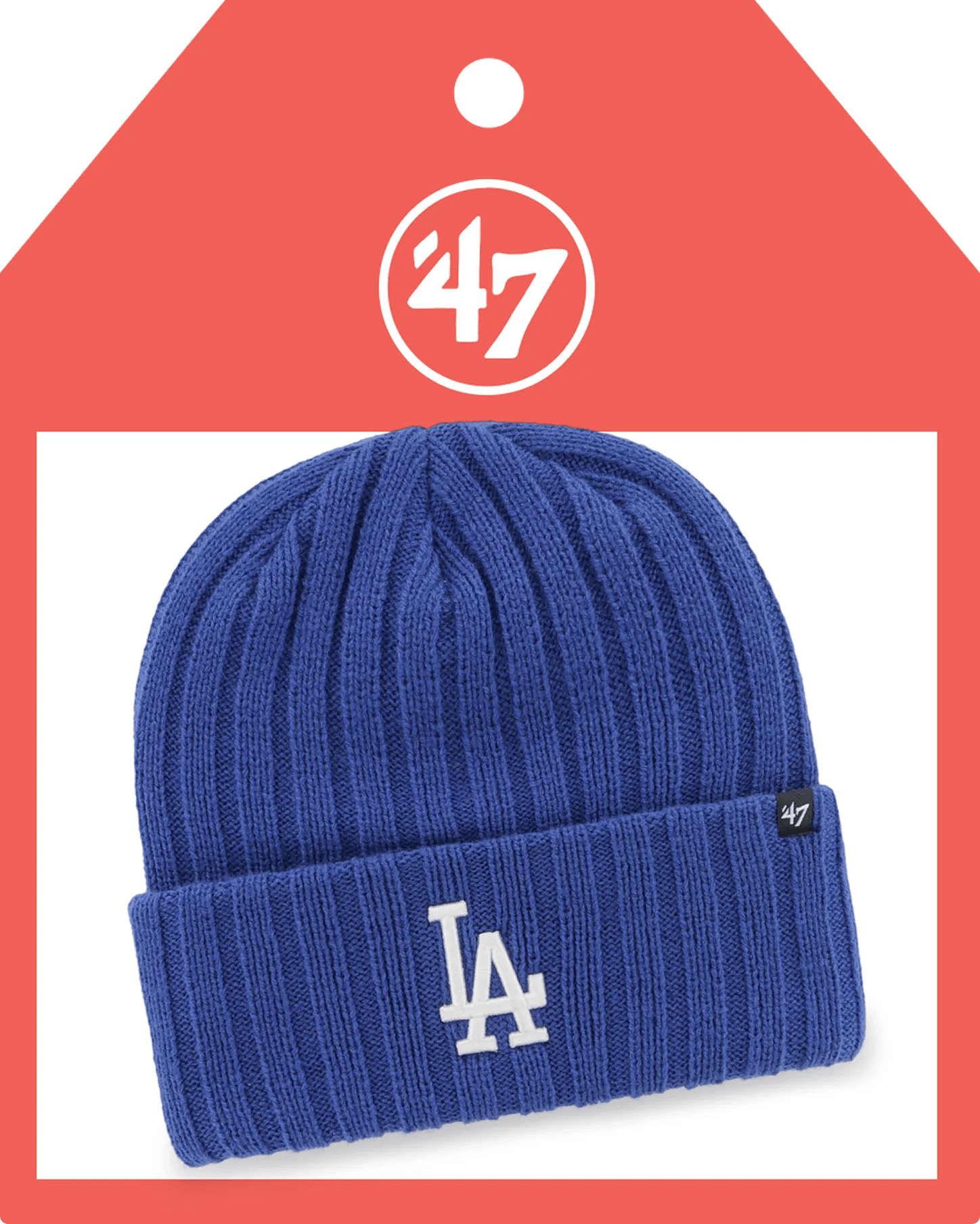 Blue beanie from '47 hats.