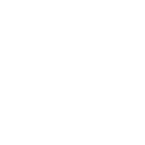 DSW VIP