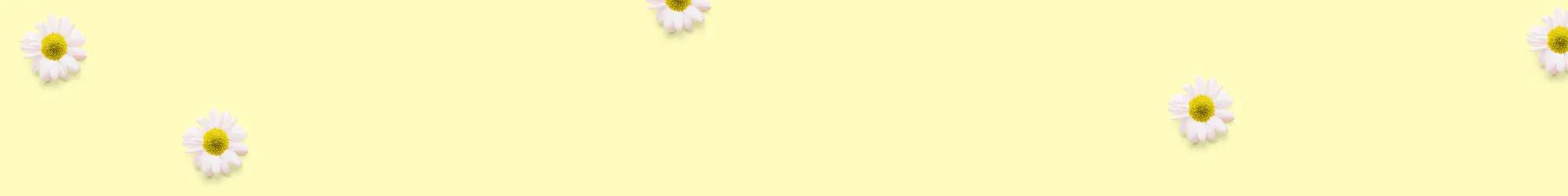 Pastel yellow background
